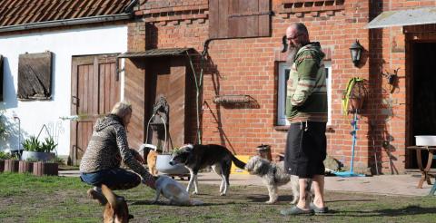 zwei Menschen auf einem Gnadenhof mit Hunden